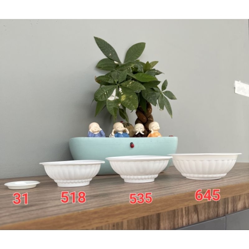 50 Chén bát nhựa đục dùng 1 lần