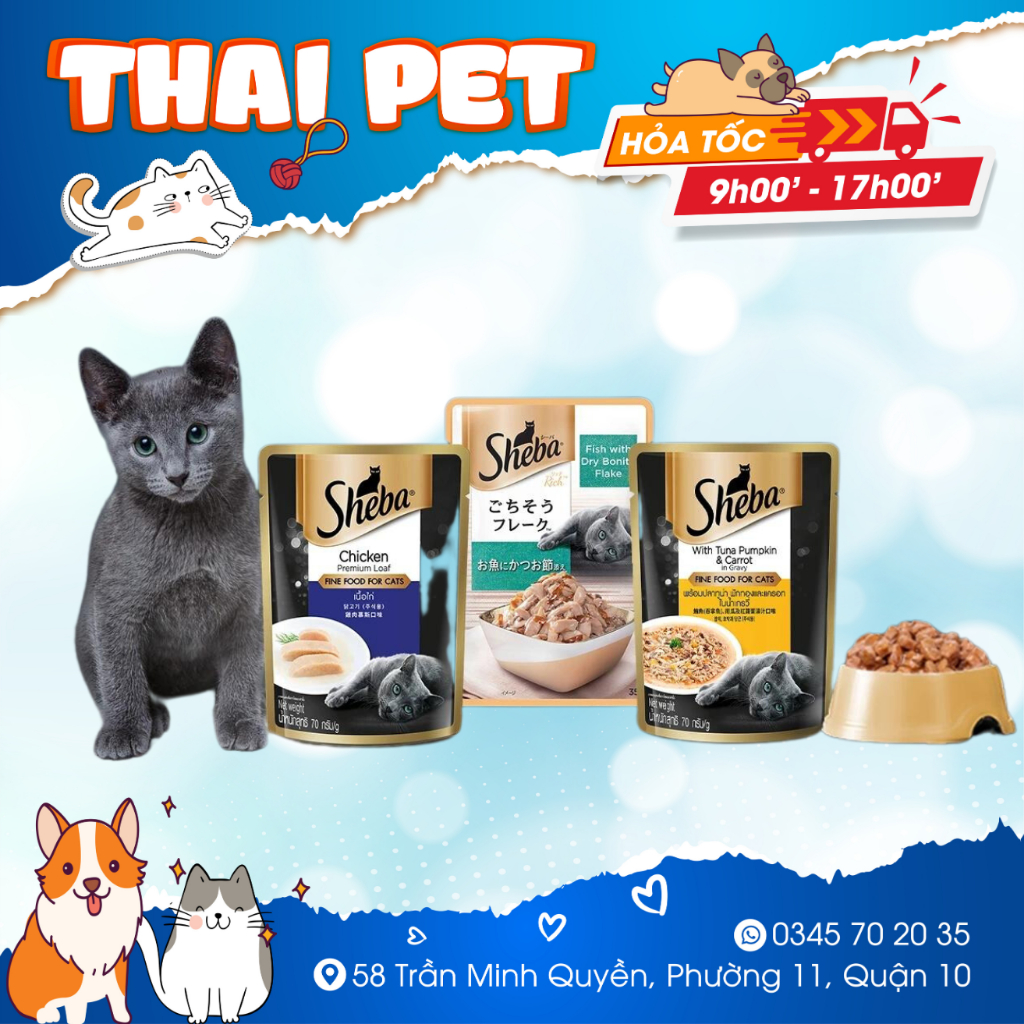 Pate Sheba USA 70g ThaiLand