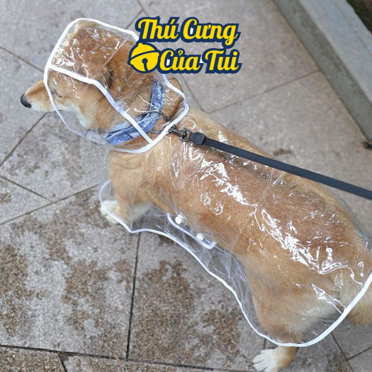 Áo Mưa Cho Thú Cưng  Chó Mèo Trong Suốt - Thú cưng của tui