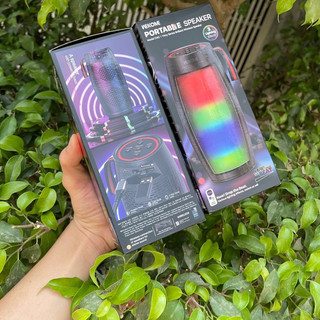 Loa bluetooth speaqua the cruiser h2.0 10w và loa bluetooth d40 hàng chính hãng bảo hành 12 tháng