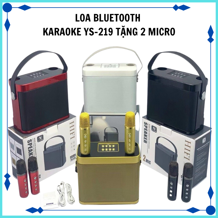 Loa bluetooth karaoke YS-219 kèm 2 micro có quai xách du lịch