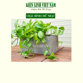 Chậu cây treo tường hình chữ nhật KT D30xr15xC15cm, chất liệu đá núi lửa trồng cây ban công, sân thượng, sân vườn
