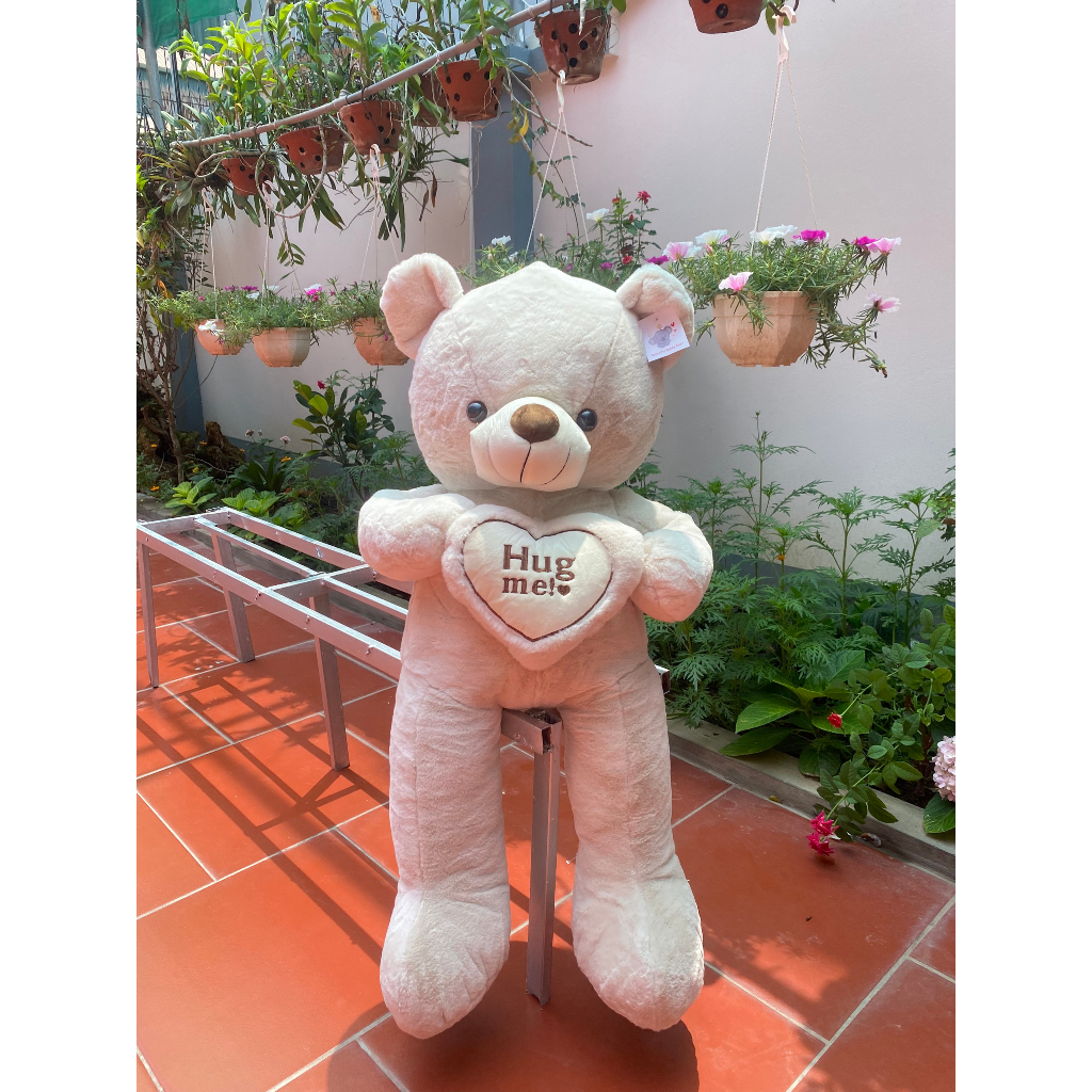 Gấu Teddy Ôm Tim 1m