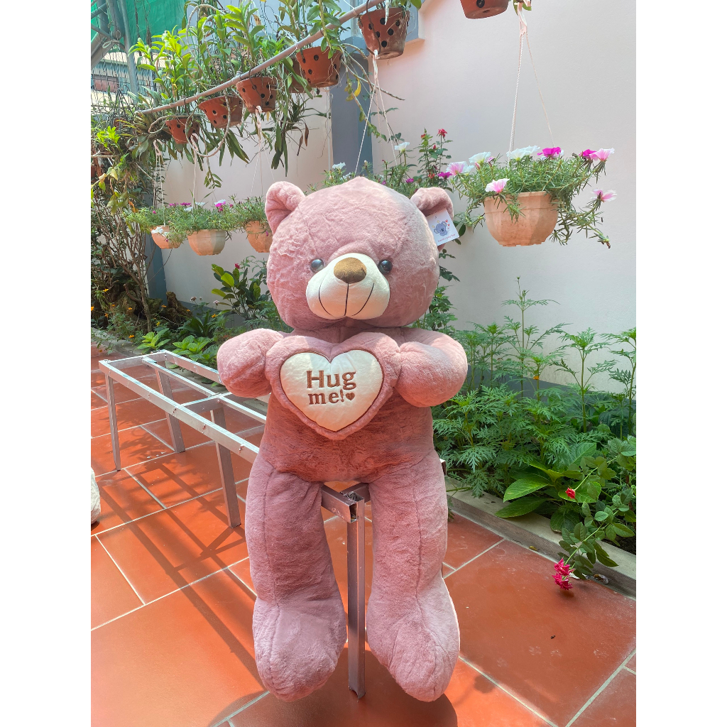 Gấu Teddy Ôm Tim 1m