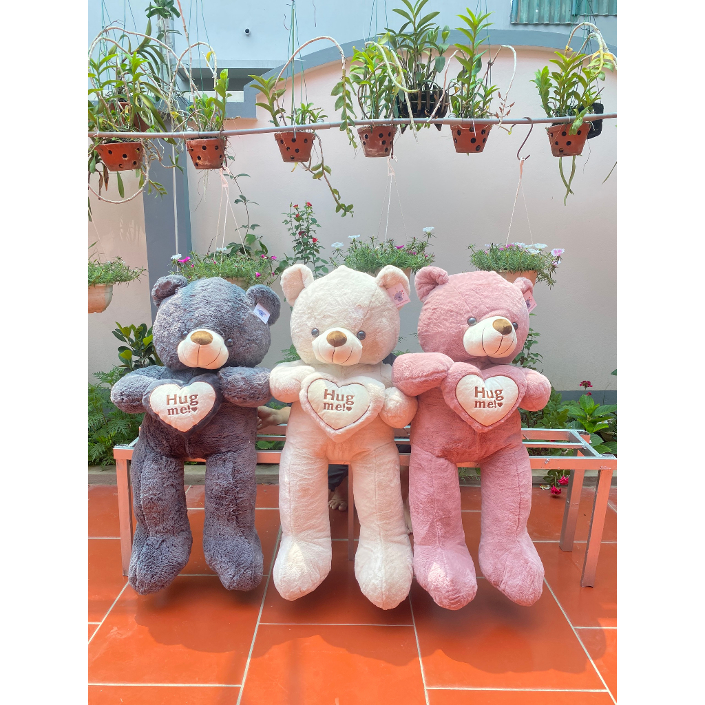 Gấu Teddy Ôm Tim 1m