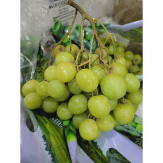 1Kg nho xanh Nam Phi Giòn ngọt
