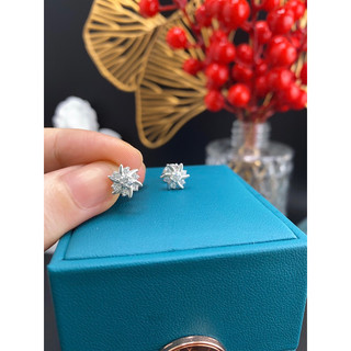 Bông tai bạc dạng chuôi vặn xi bạch kim- btdk0034- bạc ta 925 xi bạch kim