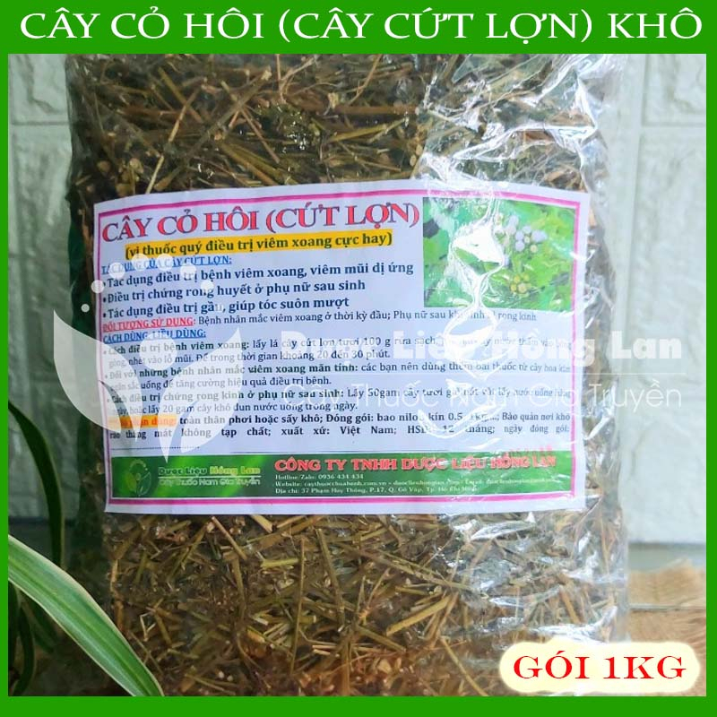 CÂY CỨT LỢN (CỎ HÔI) khô đóng gói 1kg - congtyduoclieuhonglan