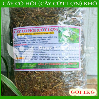 CÂY CỨT LỢN khô đóng gói 1kg - congtyduoclieuhonglan