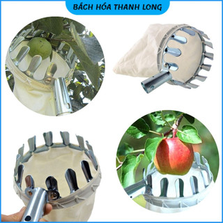 Đầu vợt hái trái cây, đầu sào hái hoa quả trên cao đa năng kèm túi vải - dụng cụ hái hoa quả kim loại siêu bền