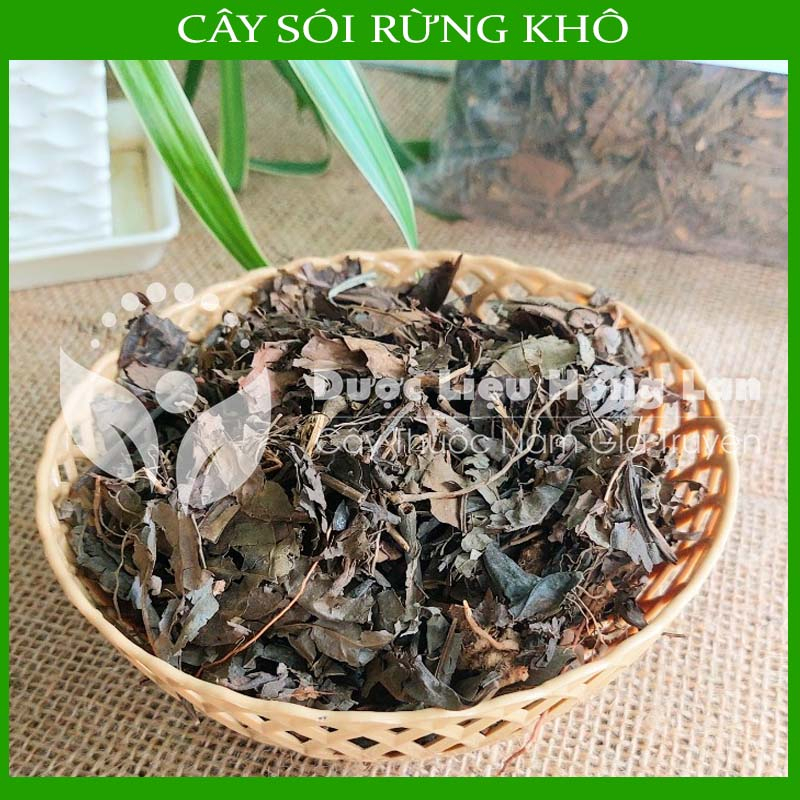 Thảo dược CÂY SÓI RỪNG khô sạch đóng gói 500gram - congtyduoclieuhonglan