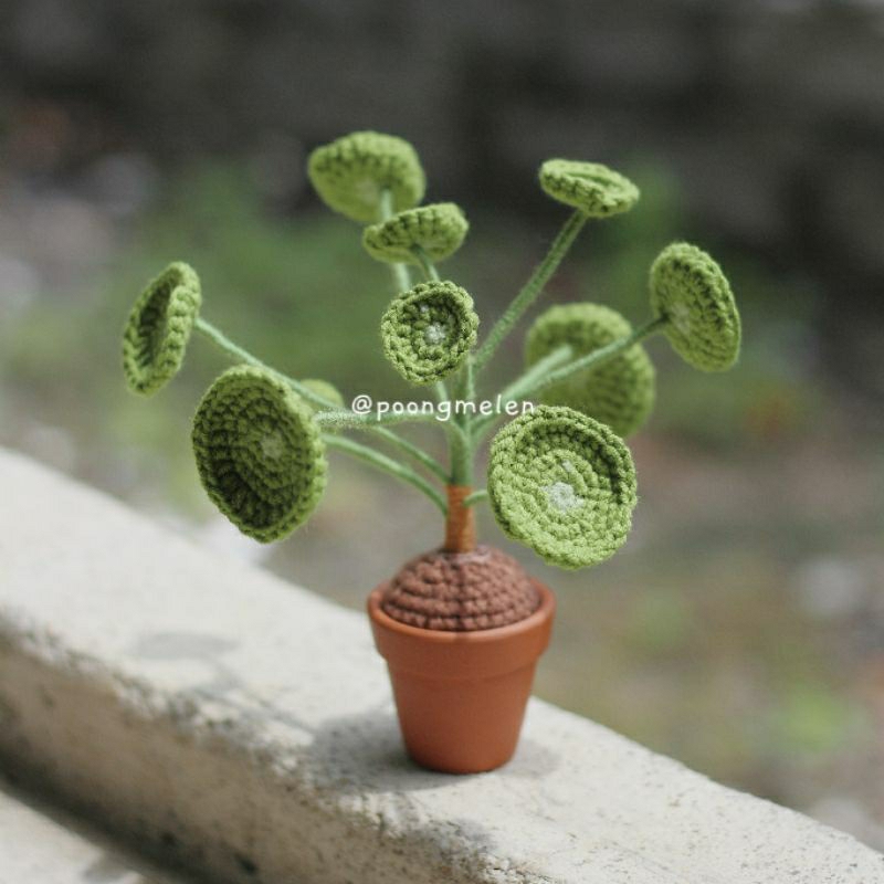 Plants by inspired natural • handmade