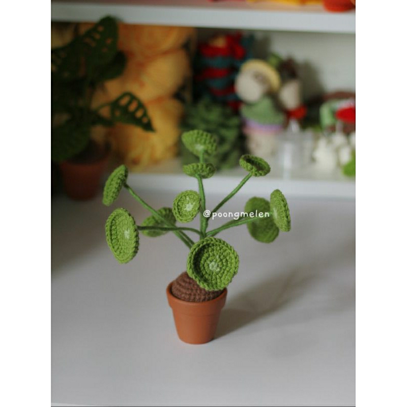 Plants by inspired natural • handmade