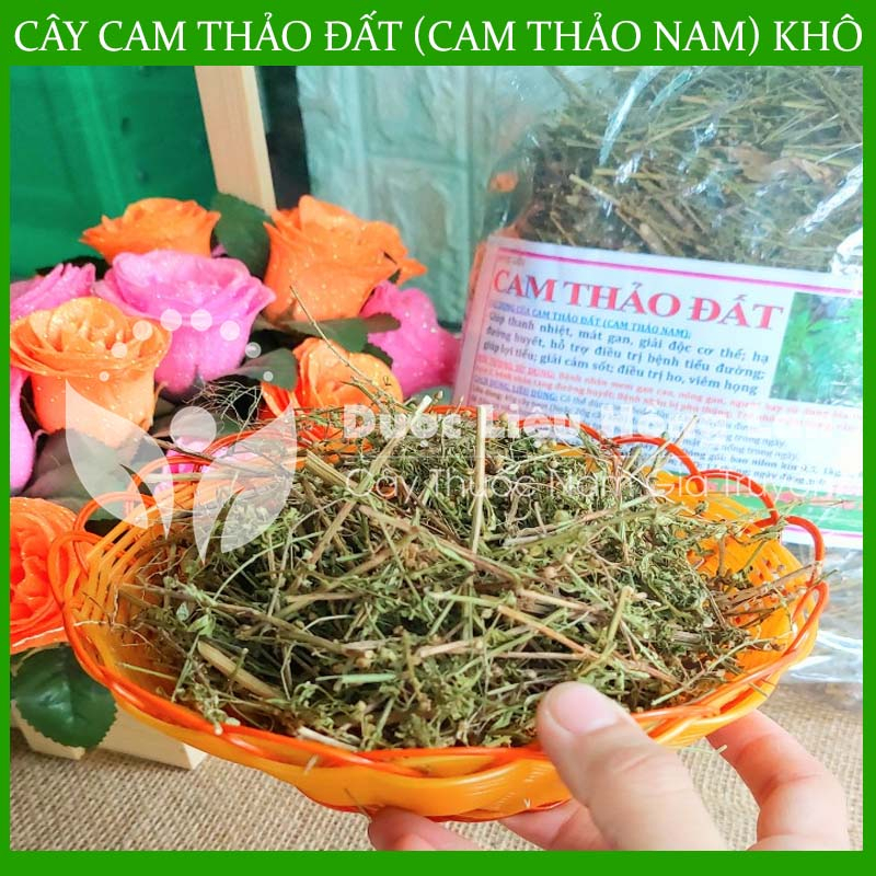 CÂY CAM THẢO ĐẤT (CAM THẢO NAM) khô 1kg - congtyduoclieuhonglan