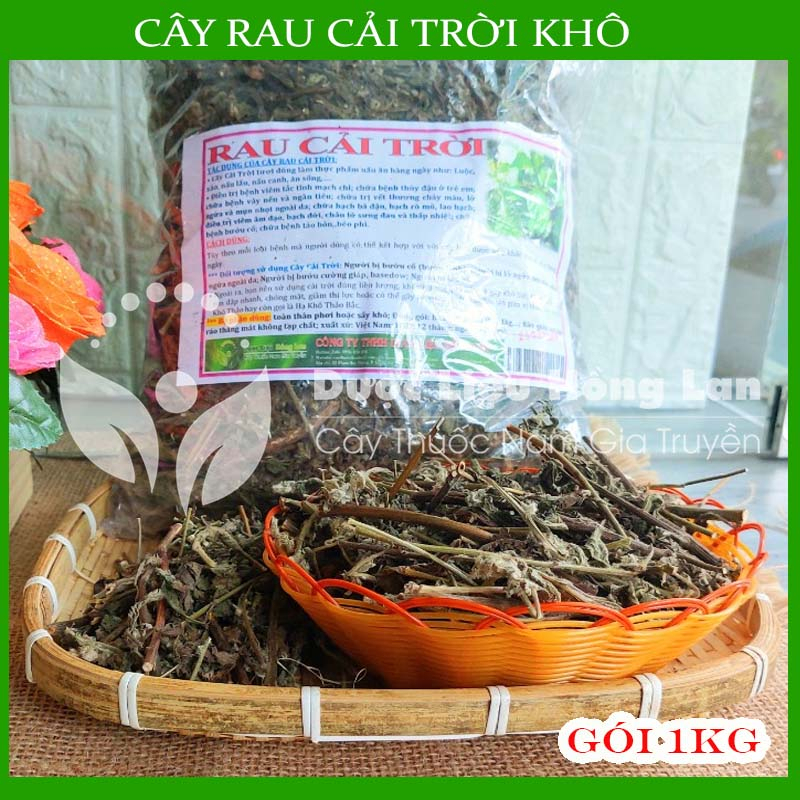CÂY RAU CẢI TRỜI khô đóng gói 1kg - congtyduoclieuhonglan