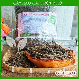 CÂY RAU CẢI TRỜI khô đóng gói 1kg - congtyduoclieuhonglan