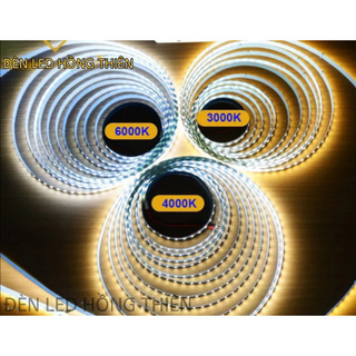 Cuộn led dây dán 5m 12v 120led, 240led ánh sáng trắng, trung tính, vàng