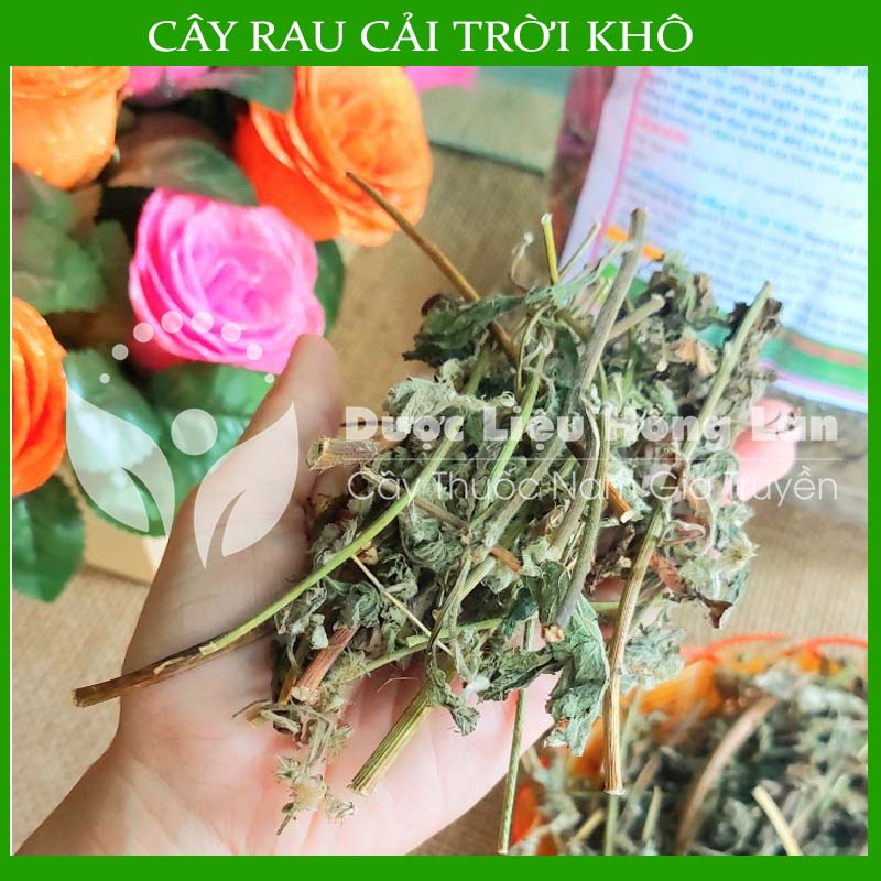 Thảo dược CÂY RAU CẢI TRỜI khô sạch đóng gói 500gram congtyduoclieuhonglan