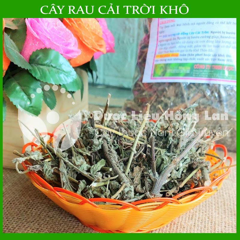 Thảo dược CÂY RAU CẢI TRỜI khô sạch đóng gói 500gram congtyduoclieuhonglan