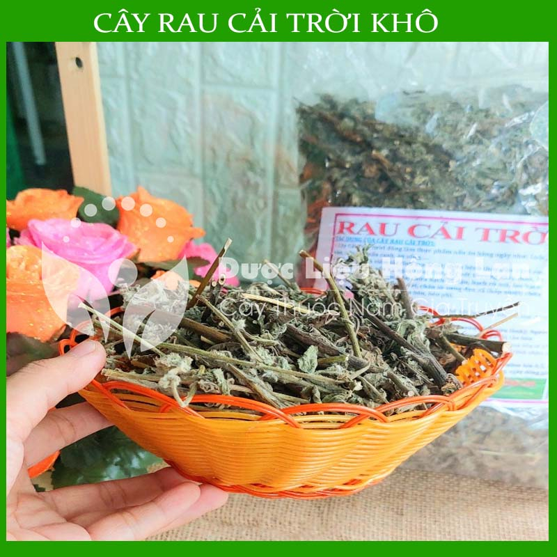 Thảo dược CÂY RAU CẢI TRỜI khô sạch đóng gói 500gram congtyduoclieuhonglan