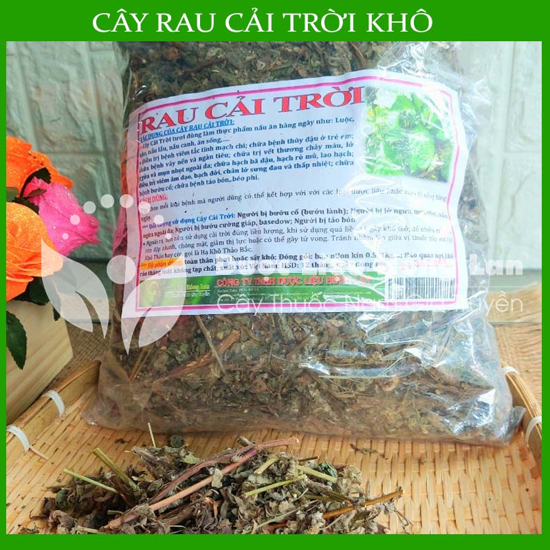 Thảo dược CÂY RAU CẢI TRỜI khô sạch đóng gói 500gram congtyduoclieuhonglan