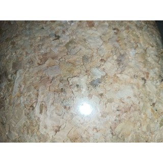 1kg mùn cưa gỗ thông thơm lót chuồng cho hamster