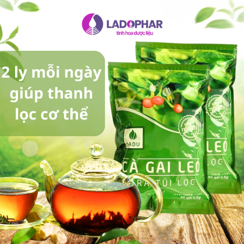 Trà cà gai leo túi lọc SADU thảo mộc giúp mát gan thanh lọc cơ thể túi 250g