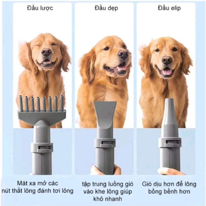 Máy Sấy Lông Nex Cho Chó Mèo 2200W