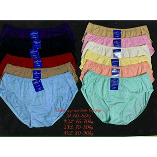 Quần lót bigsize cotton hàng việt nam công ty may khách yêu chọn màu thoải mái ạ