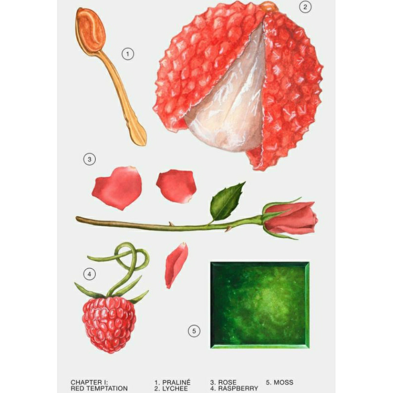 NƯỚC HOA RED ZARA TEMPTATION