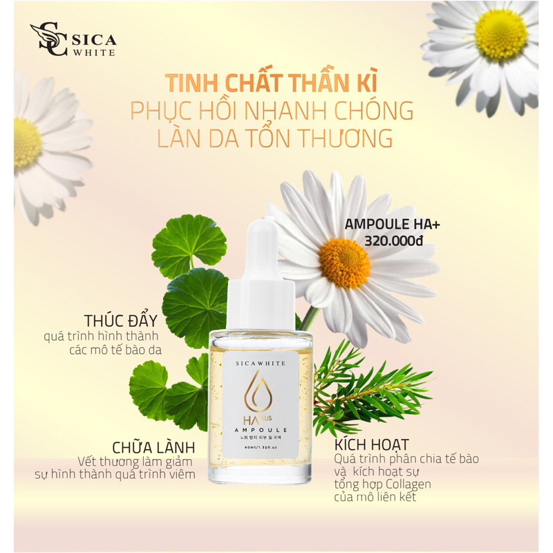 SERUM HA PLUS SICA WHITE - TINH CHẤT DƯỠNG DA NUÔI DƯỠNG DA CĂNG BÓNG, NGĂN LAO HOA DA