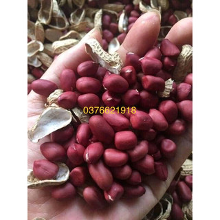Lạc đỏ tây bắc