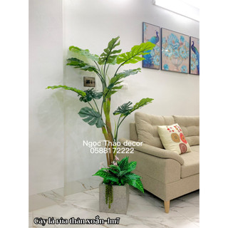 Cây lá rùa thân leo, cây giả trang trí nhà đẹp