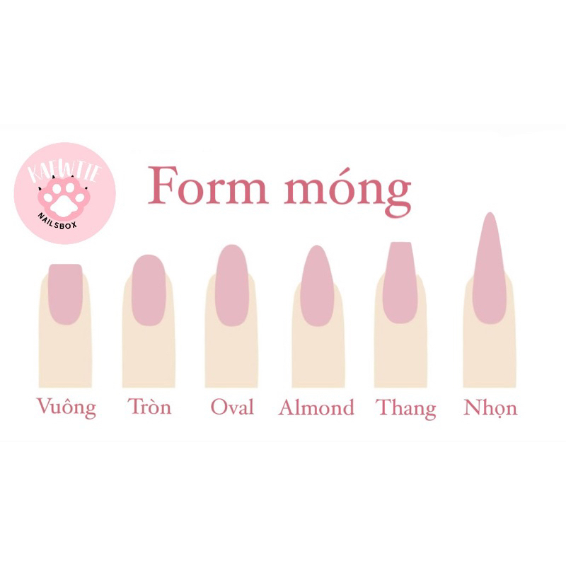 Nailsbox TayNew Polca