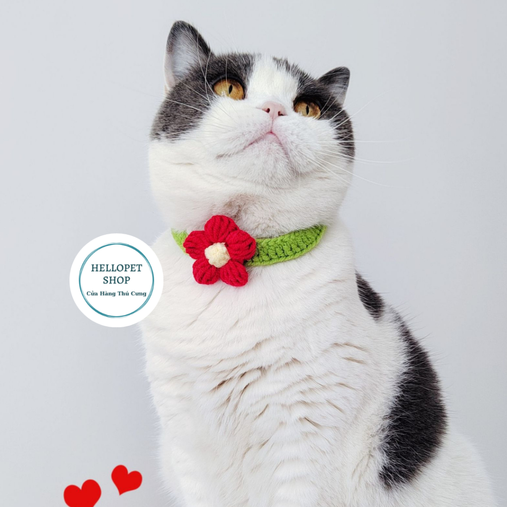 Vòng cổ cho chó mèo bằng len hình bông hoa dễ thương HELLOPET, Vòng cổ đan len thủ công cho thú cưng