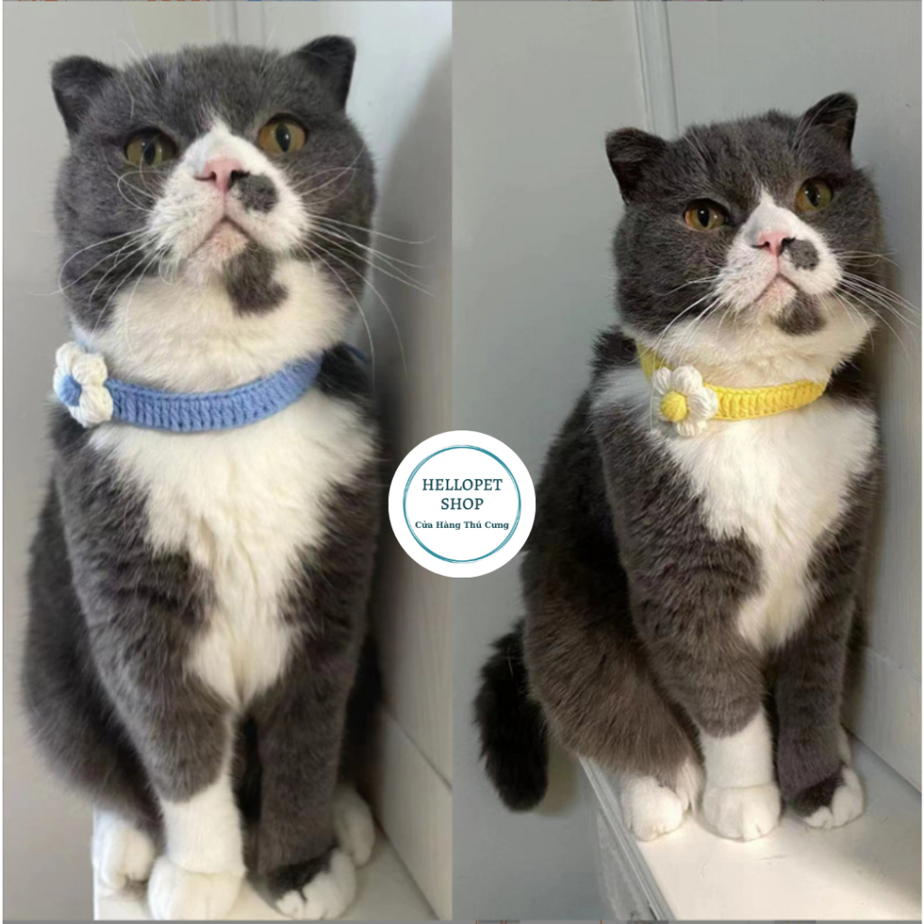 Vòng cổ cho chó mèo bằng len hình bông hoa dễ thương HELLOPET, Vòng cổ đan len thủ công cho thú cưng