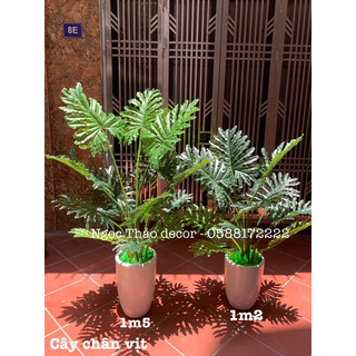 Cây lá rùa giả , cây giả trang trí