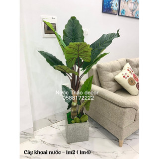 Cây khoai nước 1m2 giả - cây giả trang trí