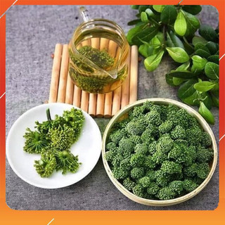 Nụ hoa tam thất bao tử loại 1 nụ tam thất khô, thơm hàng chuẩn Dược Liệu Tây Bắc