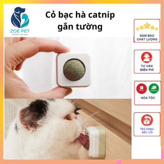 Cỏ bạc hà Catnip viên xoay tròn, có nắp đậy, giúp tiêu búi lông