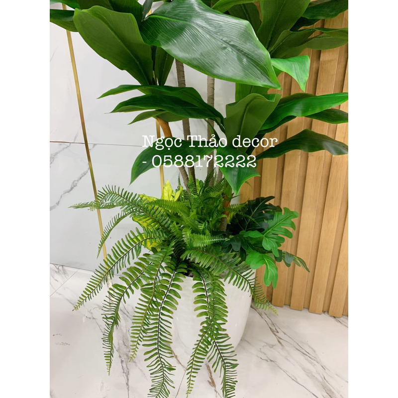 Cây lá thiết giả - cây giả trang trí