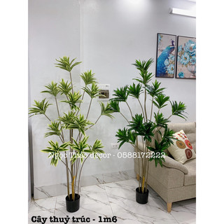 Cây thuỷ trúc xịn 1m6 giả - cây giả trang trí không gian đẹp