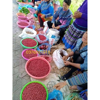 LẠC ĐỎ TÂY BẮC (lạc nương. hút chân không )