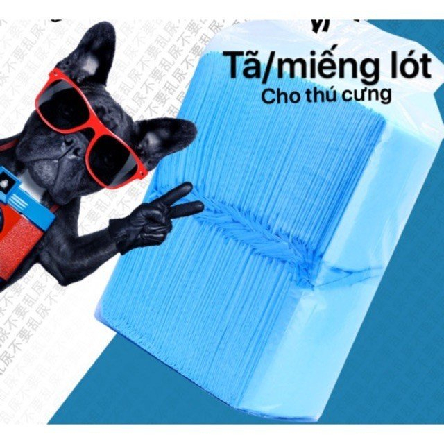(HÀNG CÓ SẴN) Hỏa Tốc , Set Tả 100c size S, Tã giấy lót chuồng cho chó mèo siêu thấm hút - Bỉm cho chó mèo