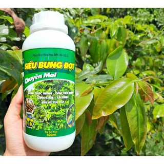 SIÊU BUNG ĐỌT - Phân bón chuyên Mai vàng giúp phục hồi mai sau tết, mai suy