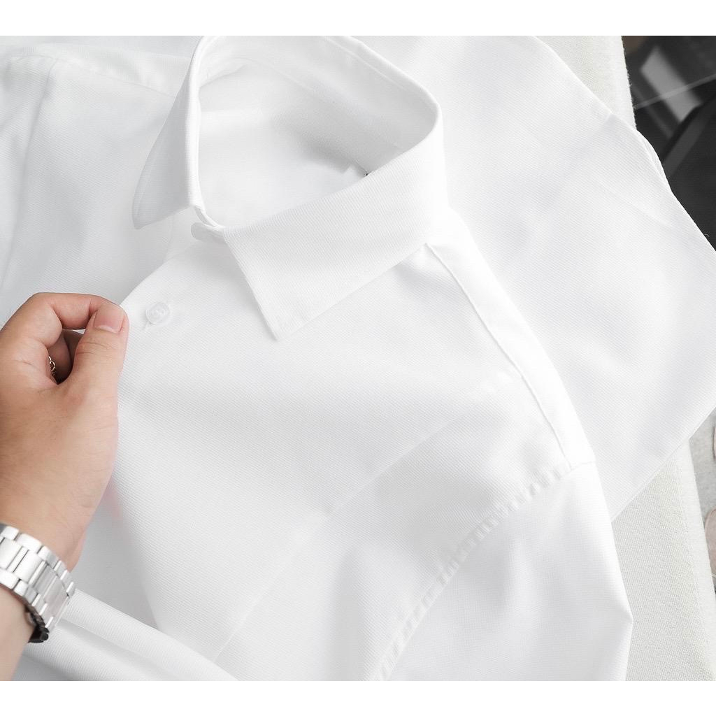 Áo Sơ Mi Unisex Nam Nữ In Hình In Con Vẹt Trước Ngực Siêu Nét.