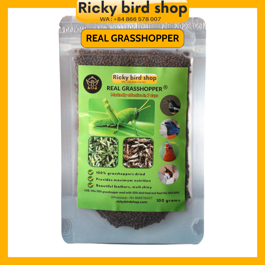 Hạt châu chấu sấy Ricky cho chim - 100 grams châu chấu sấy cao cấp