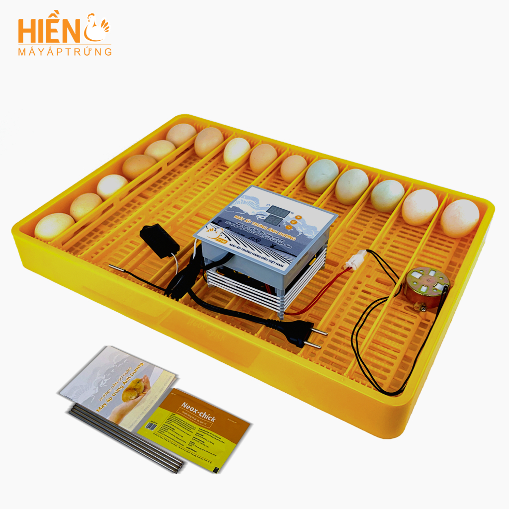 Máy ấp trứng mini Ánh Dương P100 khay đảo trứng tự động 50 trứng lắp thùng xốp