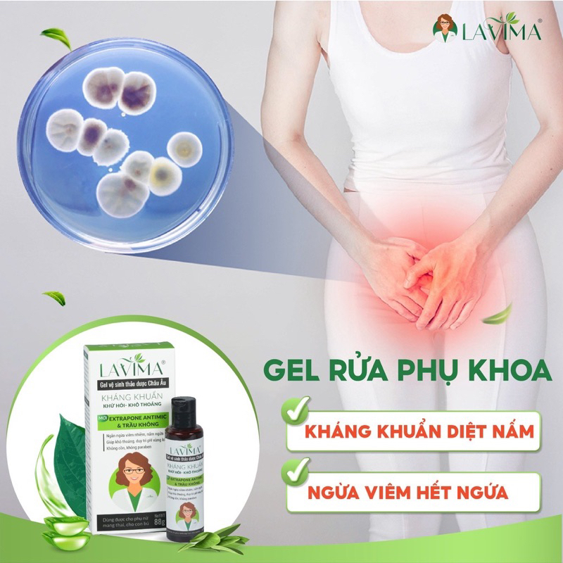 (HOẢ TỐC) Dung dịch vệ sinh (Gel rửa phụ khoa) kháng khuẩn Thảo dược Châu Âu LAVIMA 88g