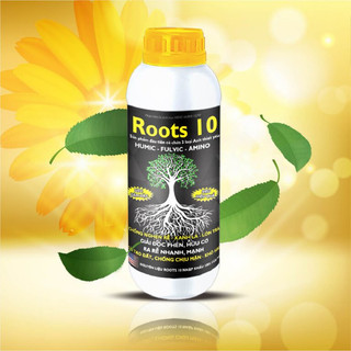 Kích rễ roots 10 - 200g